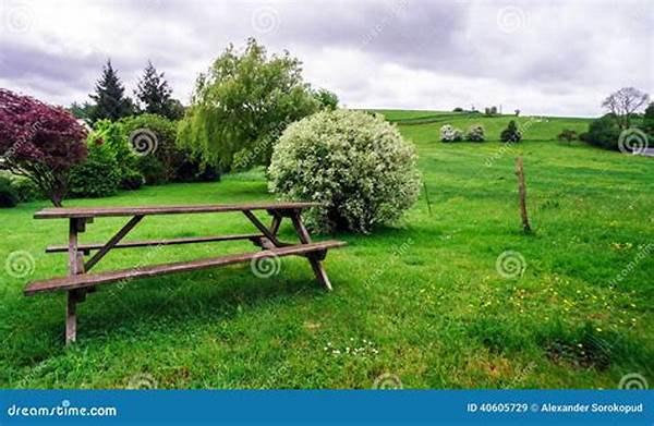Experiencing Calm Rural Vistas