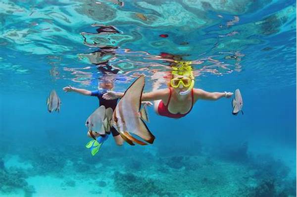 Seaside Accommodation With Snorkeling Activities