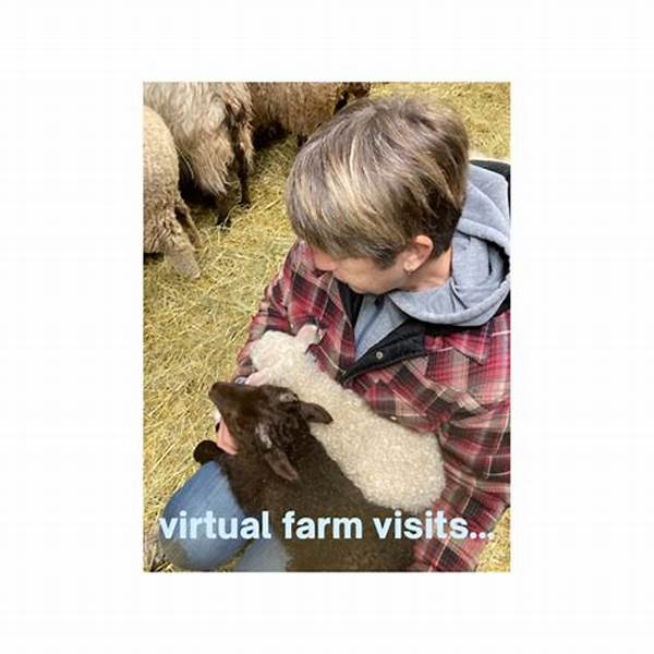 Interactive Farm Visits With Kids
