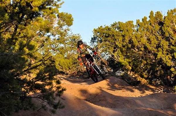 Navigating Gentle Mountain Trails