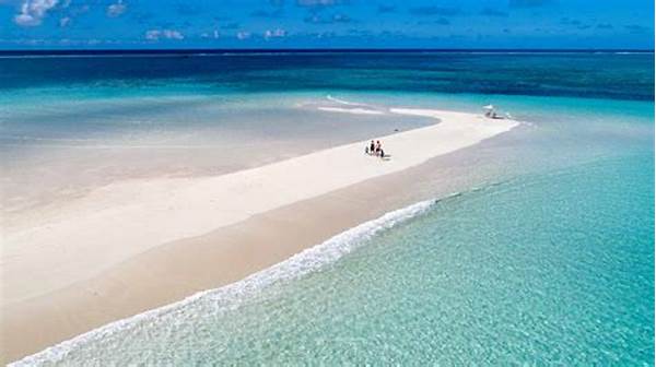 Family Holiday Packages With All Meals