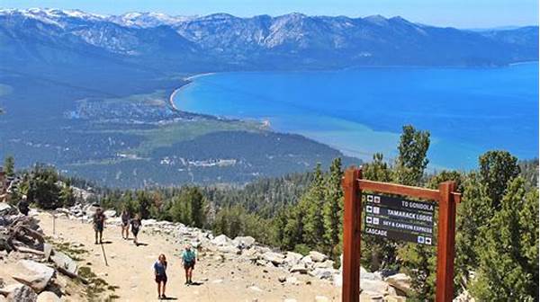 Scenic Hiking Trails Near Resort