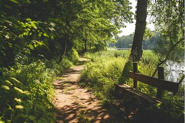 Stress Reduction In Outdoor Experiences