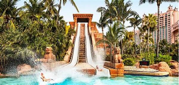Amazing Water Slides For Family Vacations