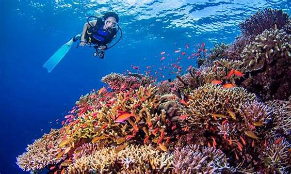Best Resorts For Coral Reef Diving