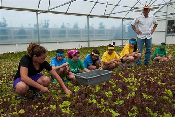 Community-supported Family Farming Spaces