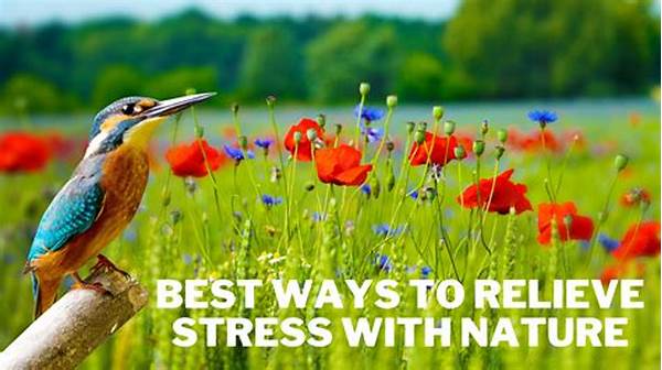 Connecting With Nature For Stress Relief