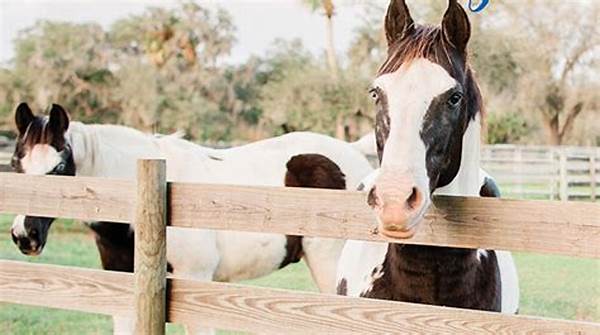 Peaceful Rural Family Sanctuary