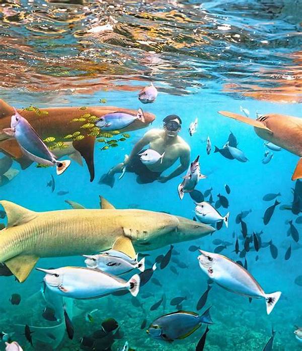 Green Practices In Marine Resorts