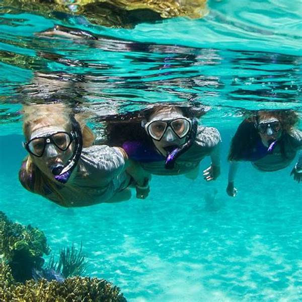 Guided Snorkeling Adventures Package