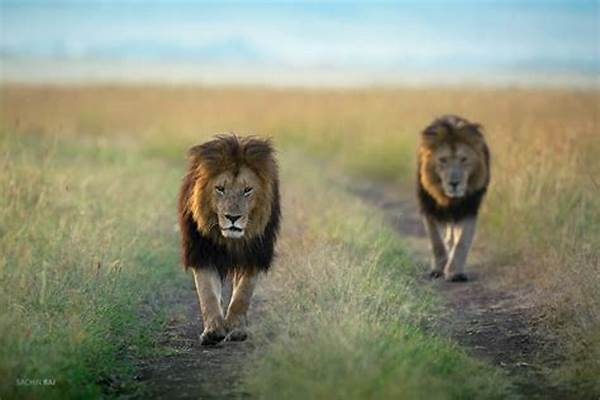 Upscale Animal Habitat Expeditions