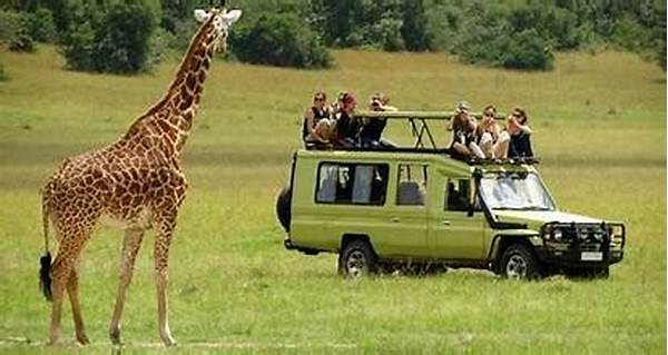 Wildlife Tours For Family Trips