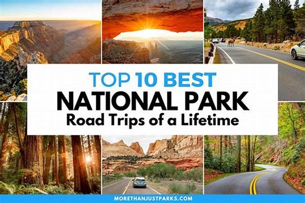National Park Trips With Children