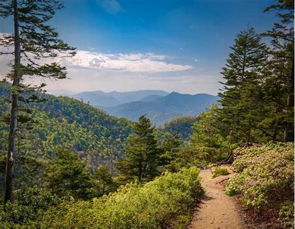 Scenic Nature Trails For Families