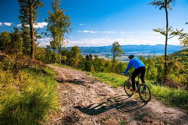 Beautiful Tandem Biking Destinations