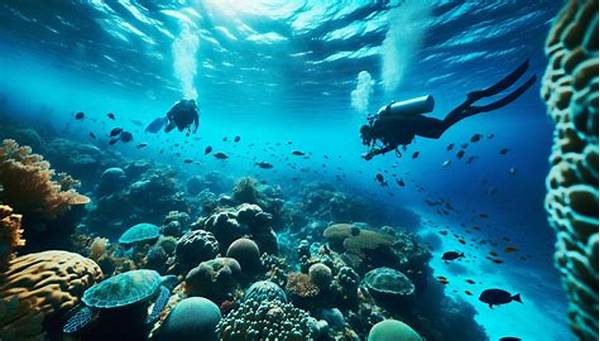 Nature-preserving Accommodations Near Reefs