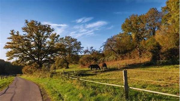 Serene Rural Getaways For Families